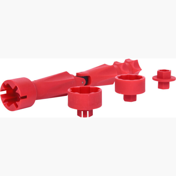 FOT_PRO_ALG_123.0035_SALL_AING_V1