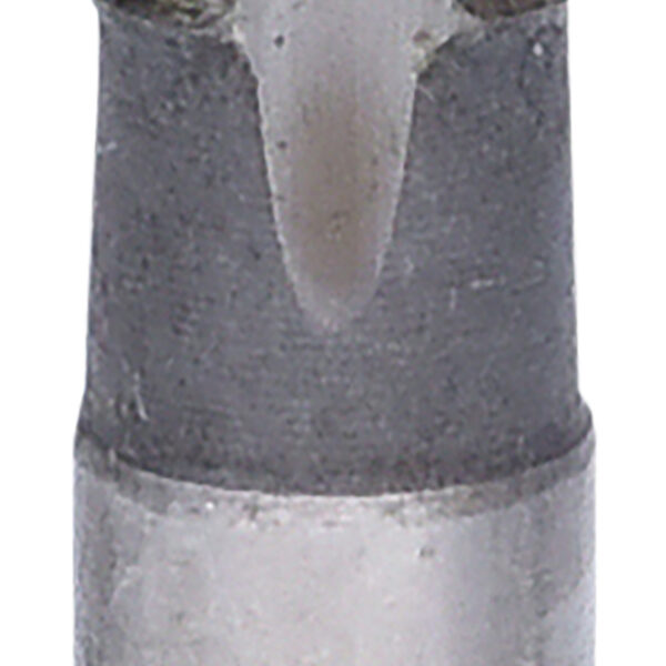 FOT_PRO_ALG_122.1302_SALL_AING_V1