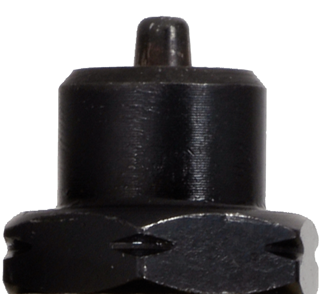 FOT_PRO_ALG_AUTO_122.1237_SALL_AING_V1