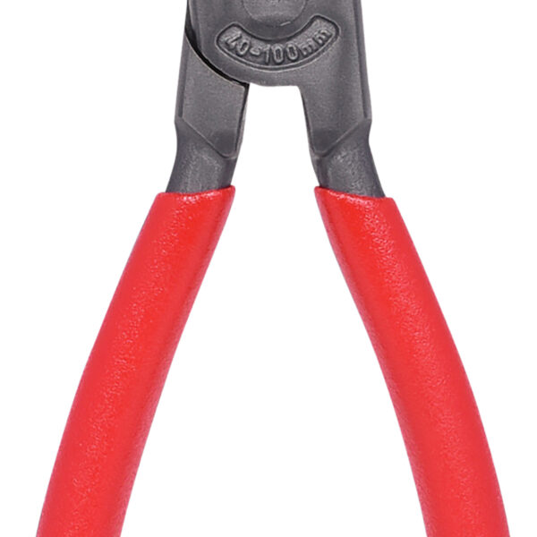 FOT_PRO_VAR_119.2063.2_SALL_AING_V1