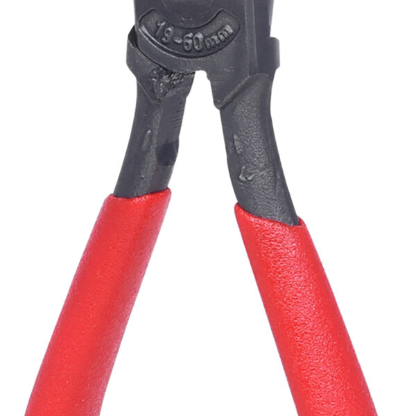 FOT_PRO_VAR_119.2058.2_SALL_AING_V1