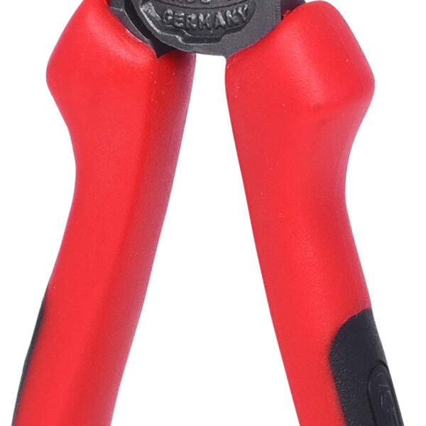 FOT_PRO_ALG_119.2021_SALL_AING_V1