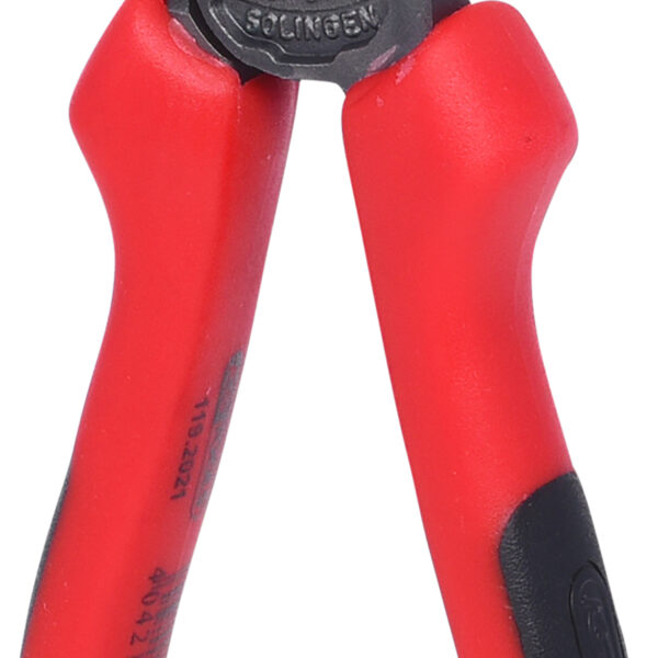 FOT_PRO_VAR_119.2021.2_SALL_AING_V1