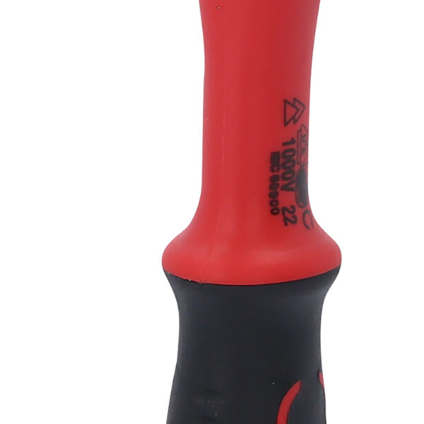 FOT_PRO_ALG_118.3800_SALL_AING_V1