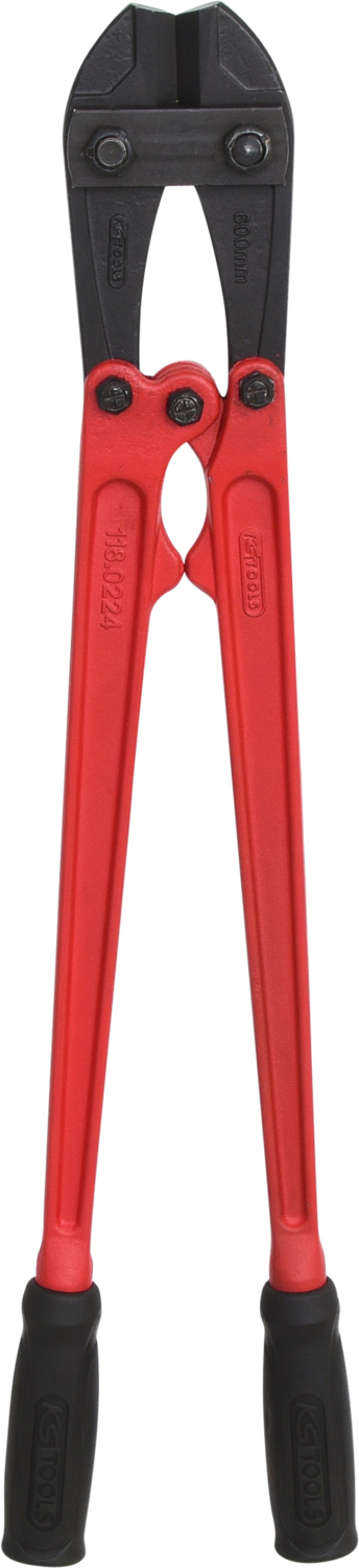 FOT_PRO_VAR_118.0224.2_SALL_AING_V1