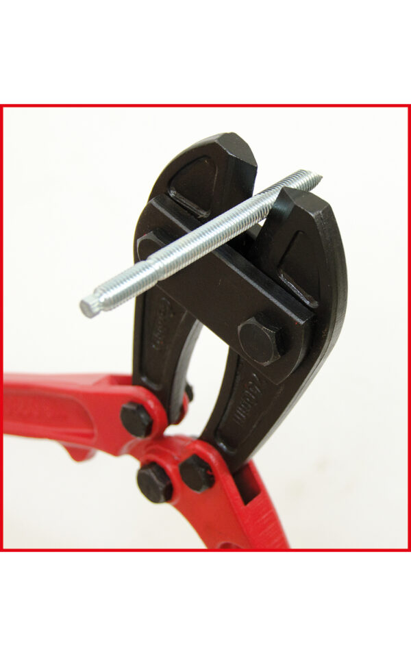 FOT_ANW_ALG_ZA_118.0218.AW2_SALL_AING_V1