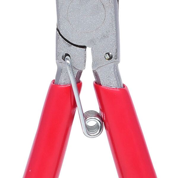 FOT_PRO_VAR_118.0160.2_SALL_AING_V1