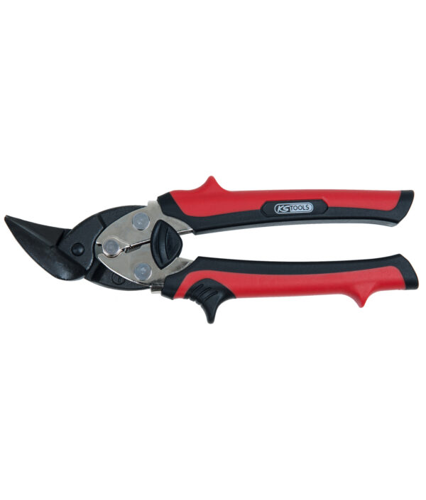 FOT_PRO_ALG_SCHESAE_118.0153_SALL_AING_V1