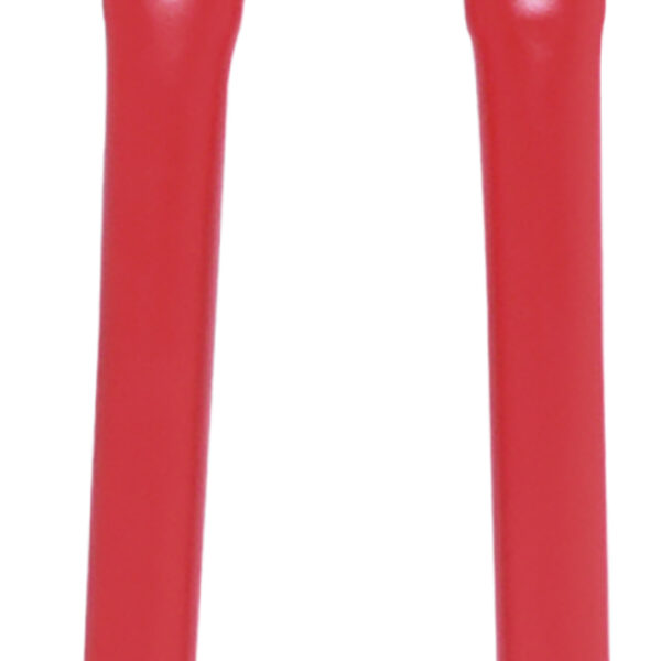 FOT_PRO_VAR_118.0142.2_SALL_AING_V1