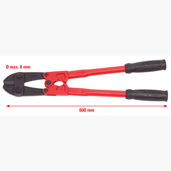 FOT_GES_ALG_118.0124.GB_SALL_AING_V1