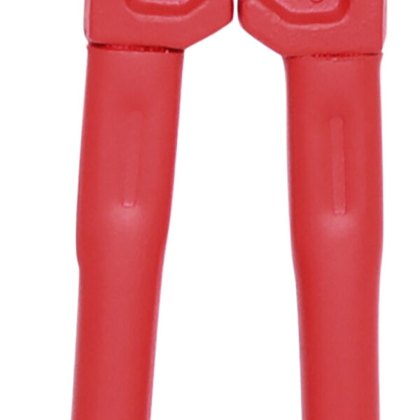 FOT_PRO_ALG_118.0118_SALL_AING_V1