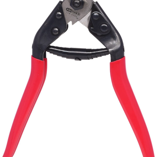 FOT_PRO_ALG_118.0092_SALL_AING_V1