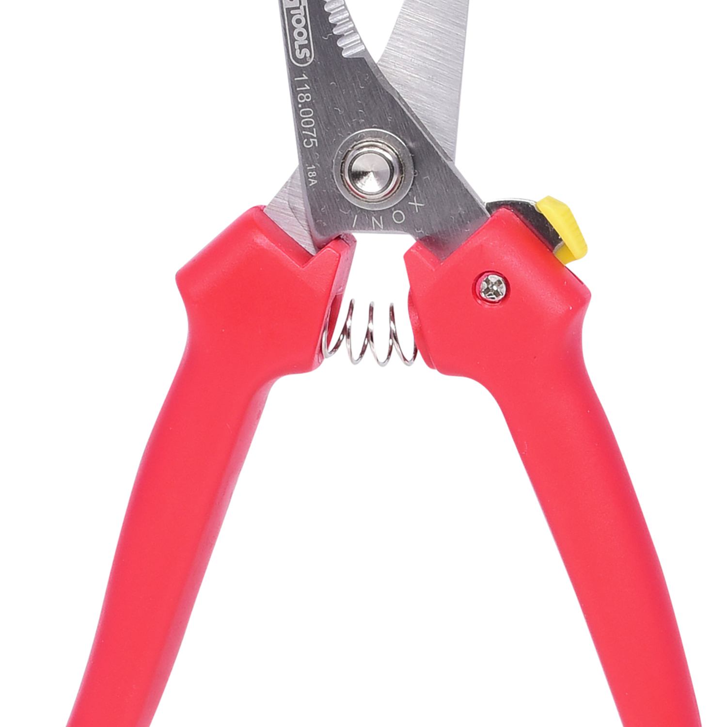 FOT_PRO_ALG_118.0075_SALL_AING_V1