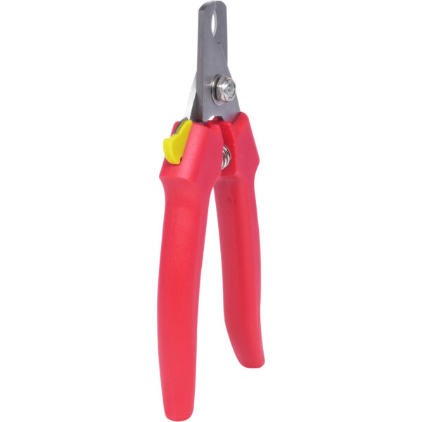 FOT_PRO_VAR_118.0073.1_SALL_AING_V1