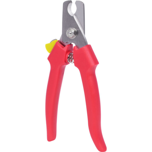 FOT_PRO_VAR_118.0073.2_SALL_AING_V1