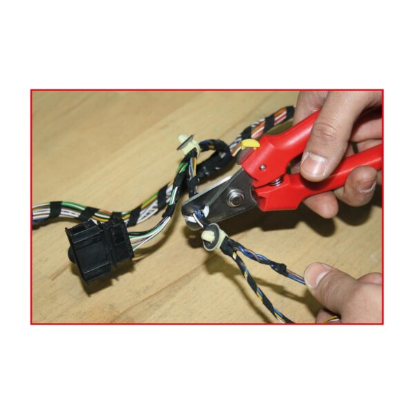 FOT_ANW_ALG_SCHESAE_118.0073.AW1_SALL_AING_V1