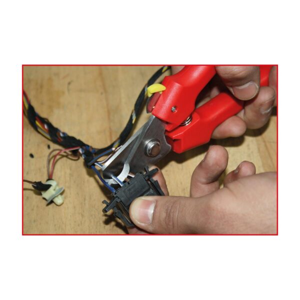 FOT_ANW_ALG_SCHESAE_118.0073.AW2_SALL_AING_V1