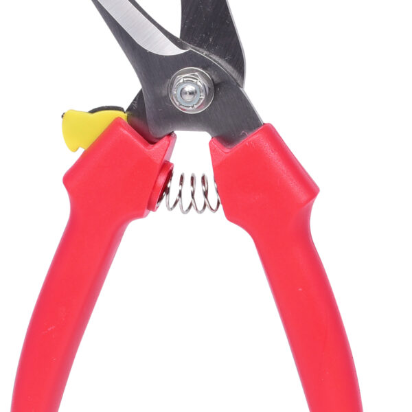 FOT_PRO_VAR_118.0072.2_SALL_AING_V1