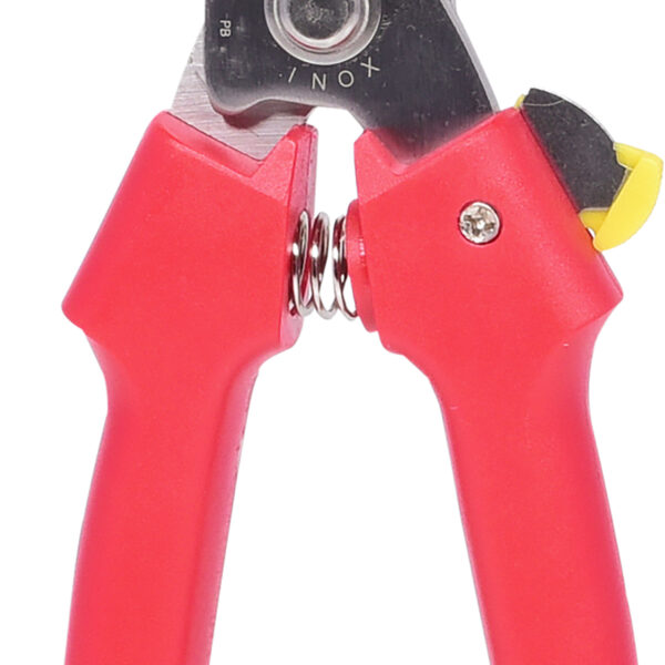 FOT_PRO_ALG_118.0071_SALL_AING_V1