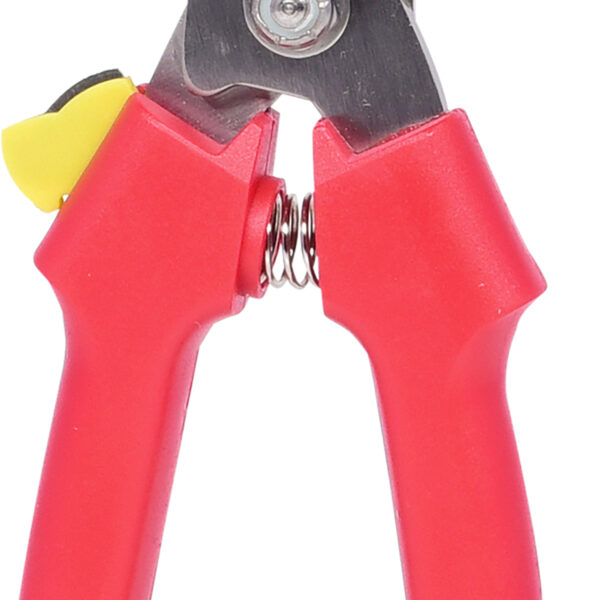 FOT_PRO_VAR_118.0071.2_SALL_AING_V1