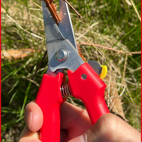 FOT_ANW_ALG_WZAL_118.0071.AW2_SALL_AING_V1