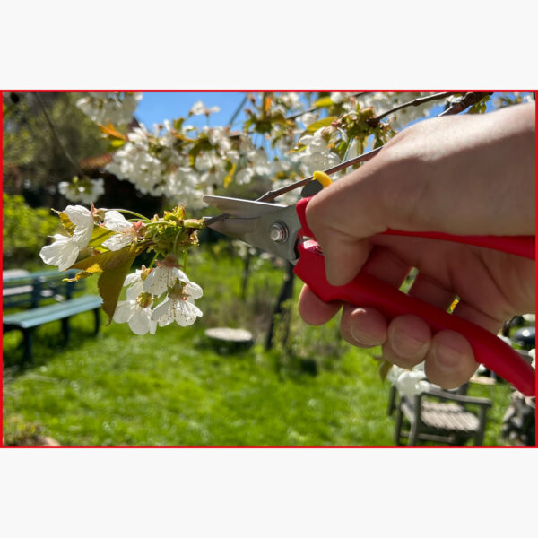 FOT_ANW_ALG_WZAL_118.0071.AW3_SALL_AING_V1