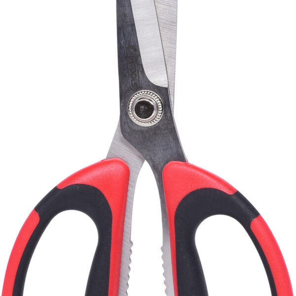 FOT_PRO_ALG_118.0066_SALL_AING_V1