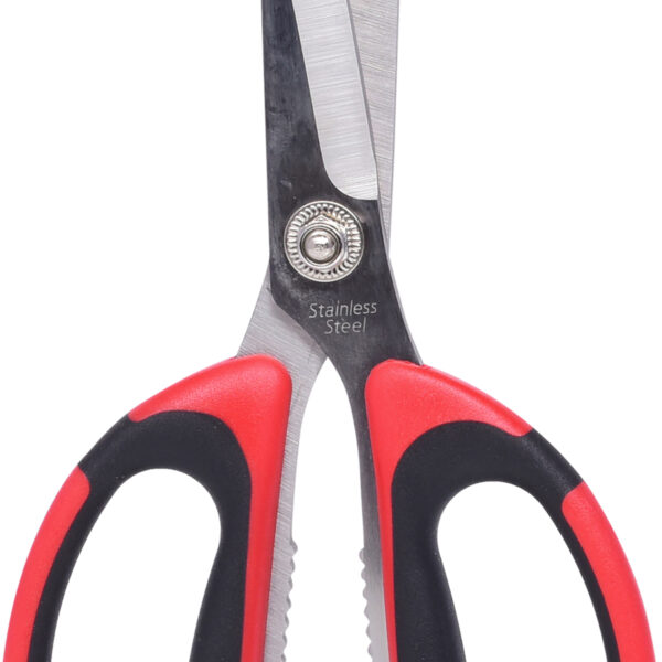 FOT_PRO_VAR_118.0066.2_SALL_AING_V1