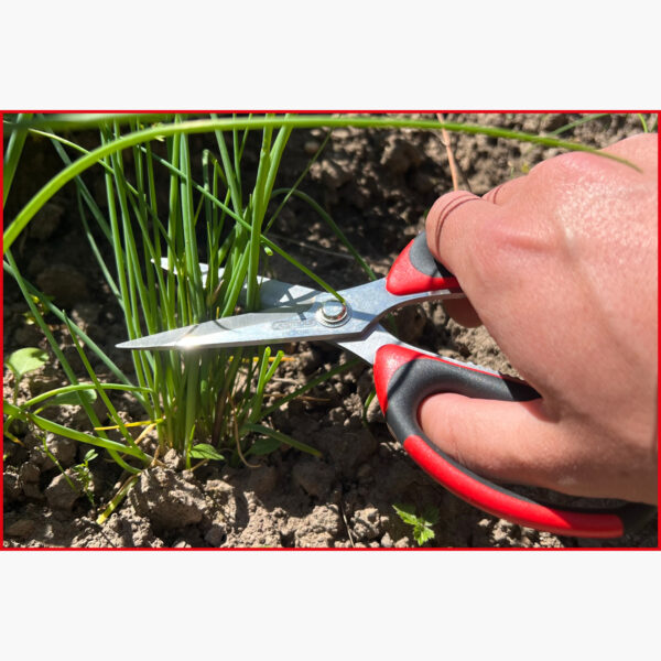 FOT_ANW_ALG_WZAL_118.0066.AW2_SALL_AING_V1