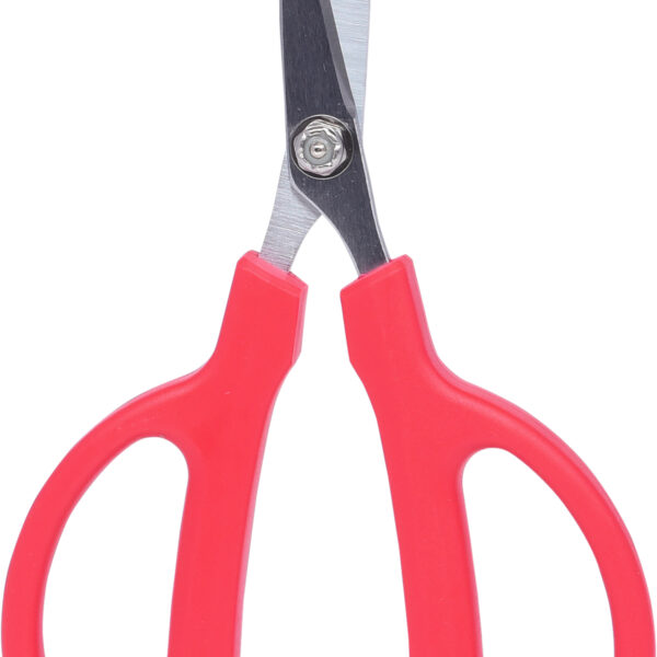 FOT_PRO_VAR_118.0065.2_SALL_AING_V1