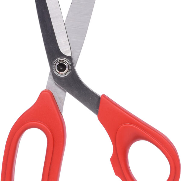 FOT_PRO_ALG_118.0011_SALL_AING_V1