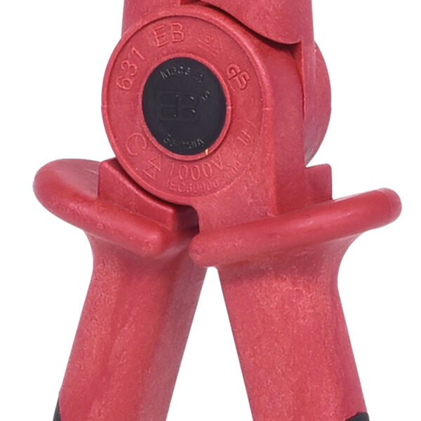 FOT_PRO_ALG_117.1767_SALL_AING_V1