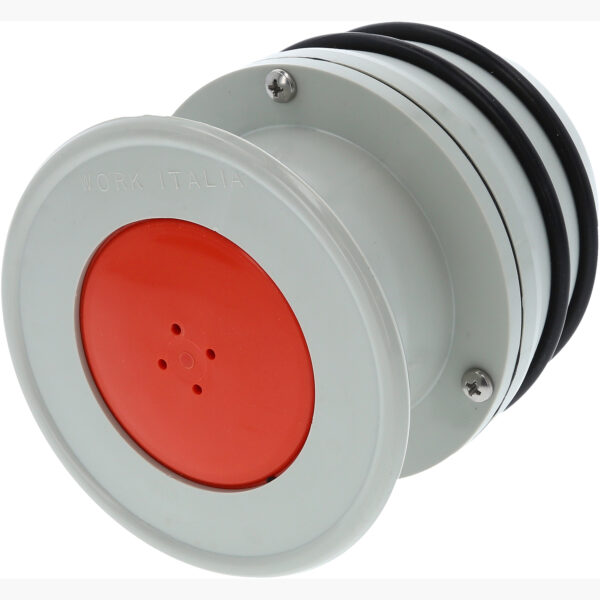 FOT_PRO_ALG_117.1666_SALL_AING_V1