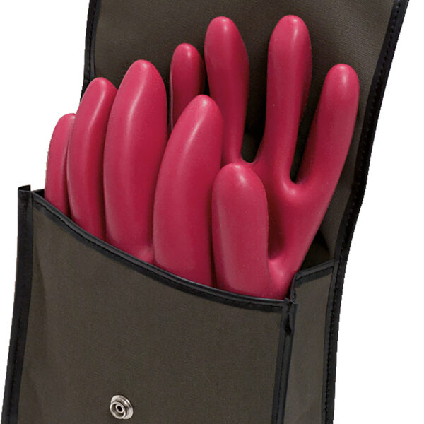 FOT_ANW_ALG_WZAL_117.1665.AW1_SALL_AING_V1