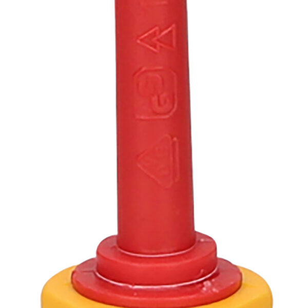 FOT_PRO_ALG_117.1635_SALL_AING_V1