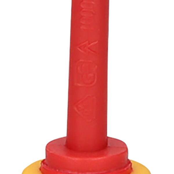 FOT_PRO_ALG_117.1633_SALL_AING_V1