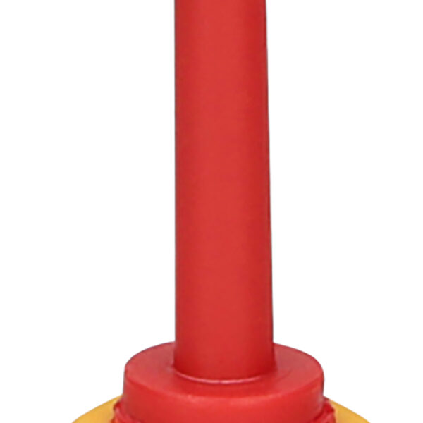 FOT_PRO_VAR_117.1633.2_SALL_AING_V1