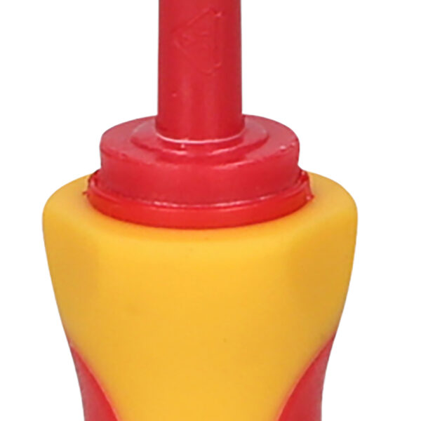 FOT_PRO_ALG_117.1631_SALL_AING_V1