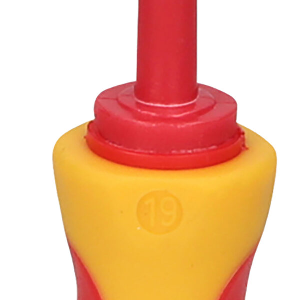 FOT_PRO_VAR_117.1631.2_SALL_AING_V1