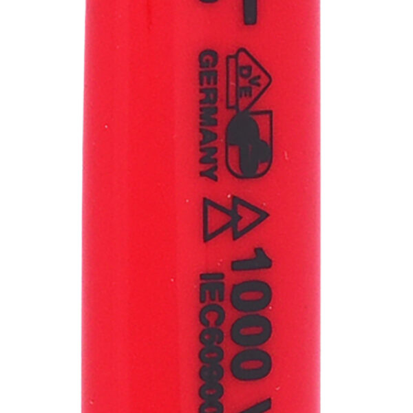 FOT_PRO_ALG_117.1513_SALL_AING_V1