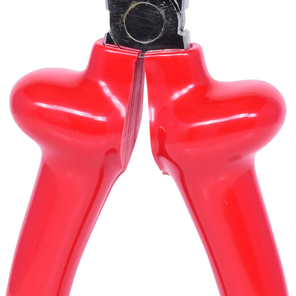 FOT_PRO_VAR_117.1297.2_SALL_AING_V1