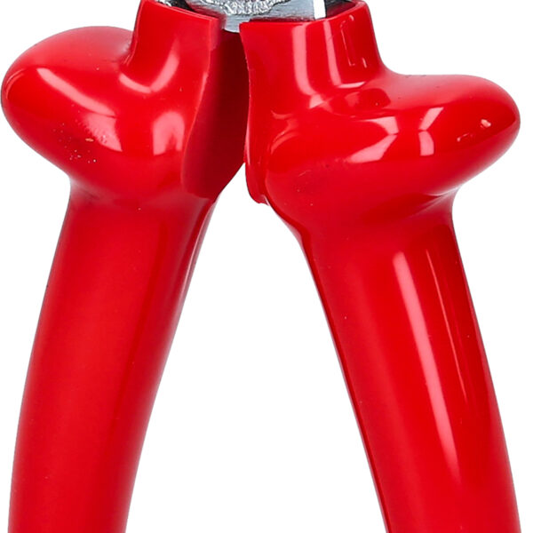 FOT_PRO_VAR_117.1277.2_SALL_AING_V1