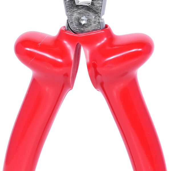 FOT_PRO_VAR_117.1271.2_SALL_AING_V1