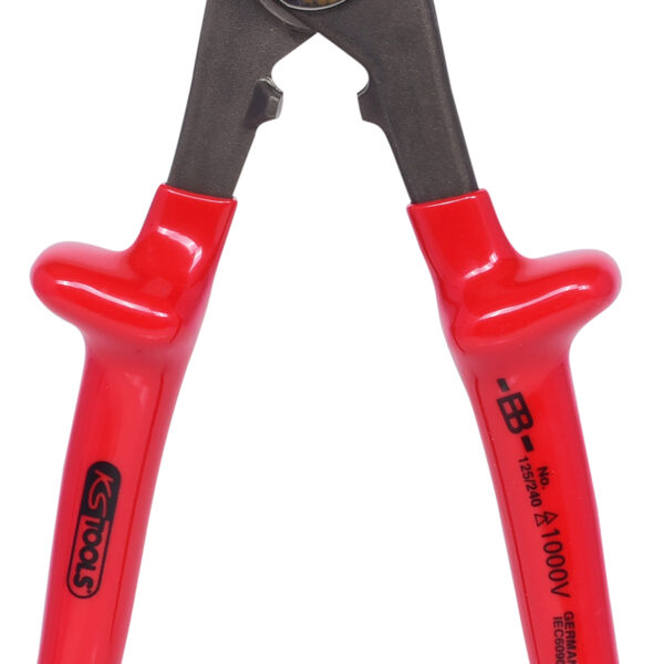 FOT_PRO_ALG_117.1269_SALL_AING_V1