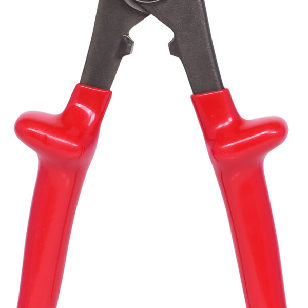 FOT_PRO_VAR_117.1269.2_SALL_AING_V1