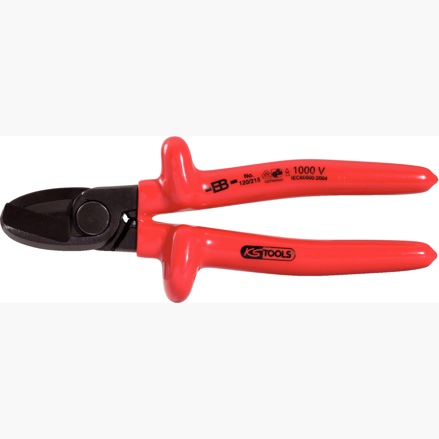 FOT_PRO_ALG_VDE_117.1259_SALL_AING_V1