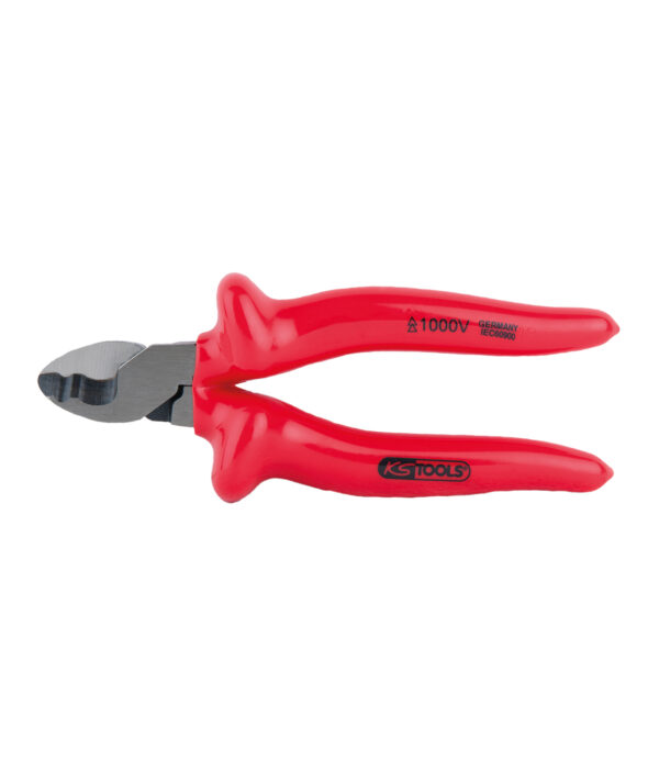 FOT_PRO_ALG_VDE_117.110X(7-8)_SALL_AING_V1