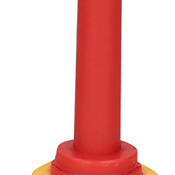 FOT_PRO_VAR_117.0553.2_SALL_AING_V1