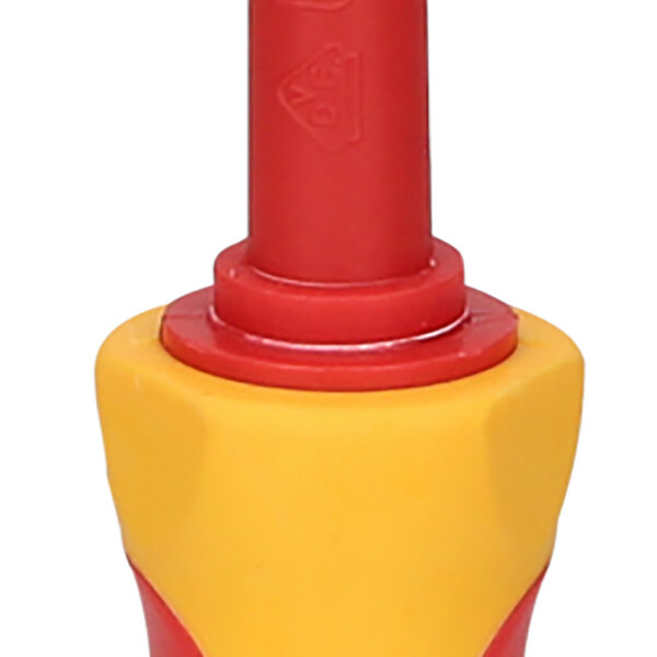 FOT_PRO_ALG_117.0536_SALL_AING_V1