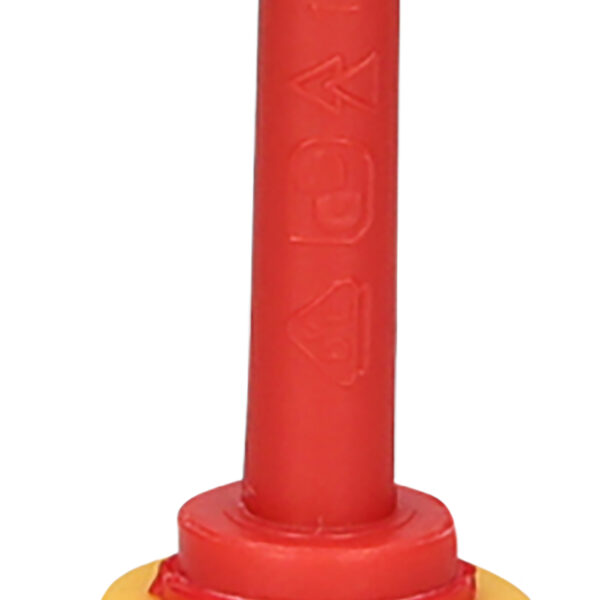 FOT_PRO_ALG_117.0506_SALL_AING_V1